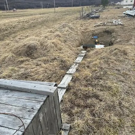 Buolbmat Aurora *